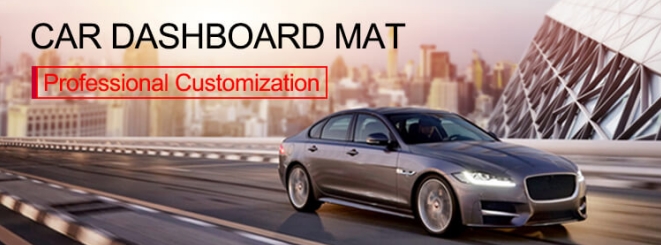 자동차 선 스크린