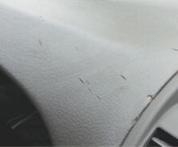 손상  에게  기구  패널 후  장기  노출