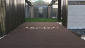 맞춤형 로고 컷 벨벳 카펫, PVC 미끄럼 방지 바닥 뒷면, 비즈니스 사무실 전체 덮힌 카펫