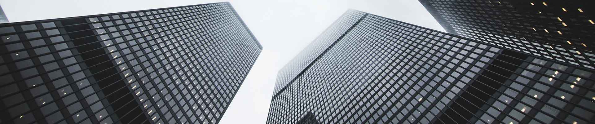 카펫 계단 밟기