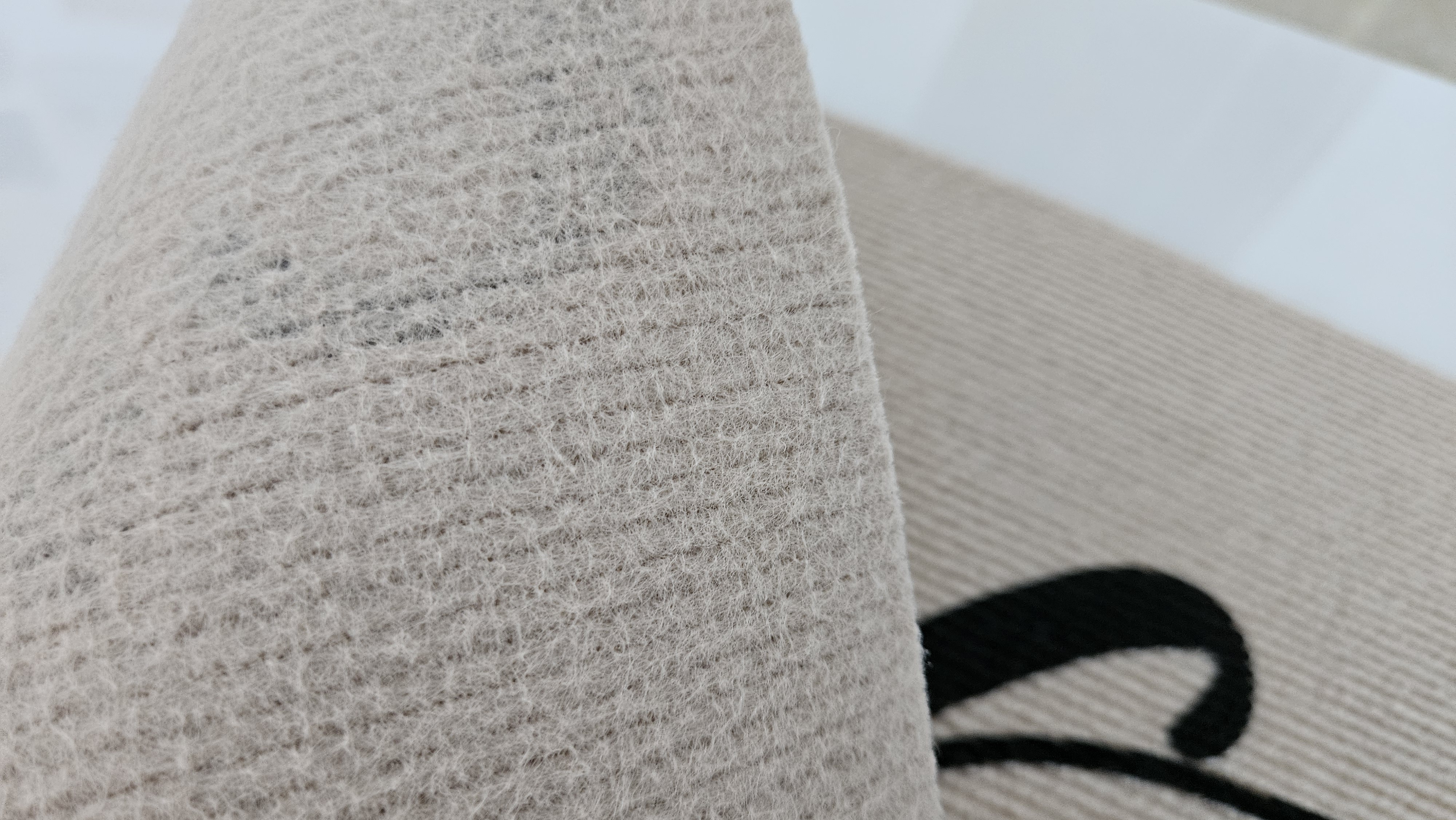 인쇄 된 현관 매트 (4)