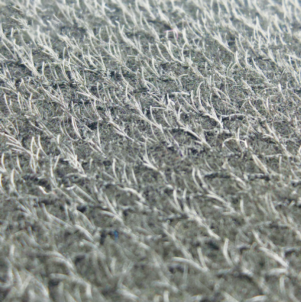 도마뱀 발 지원