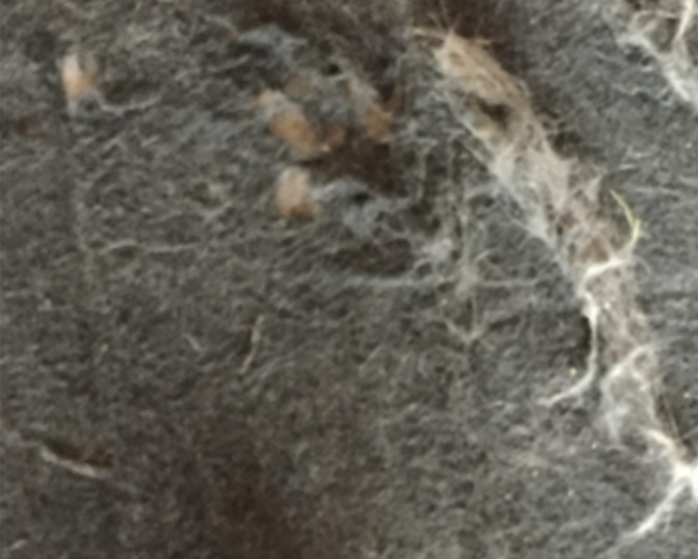 전통적인 의자 패드 표면